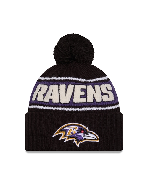 Baltimore Ravens 2024 NFL Sportknit hue