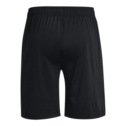 Men\'s UA Tech™ Vent Shorts
